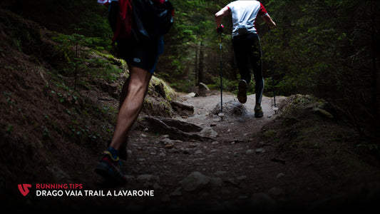 Drago Vaia Trail a Lavarone